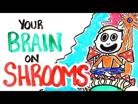 Do Mushrooms Trigger a Positive Drug Test? Find Out!