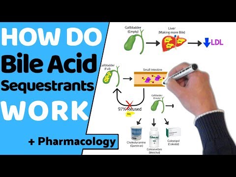 Understanding Bile Acid Sequestrants: Uses and Side Effects