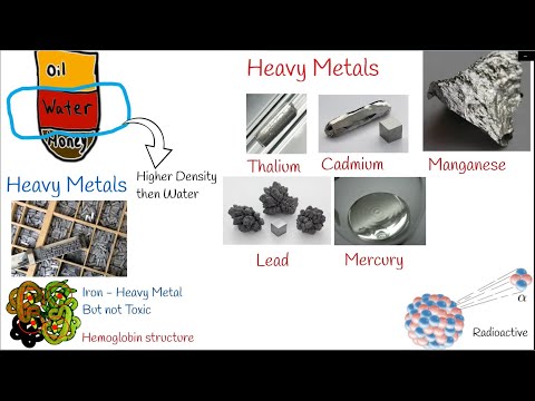 Understanding Heavy Metal Poisoning: Symptoms and Treatments