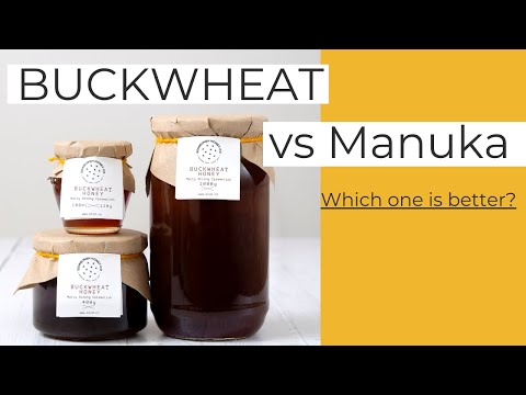 Why Buckwheat Honey Is Beneficial for Your Health