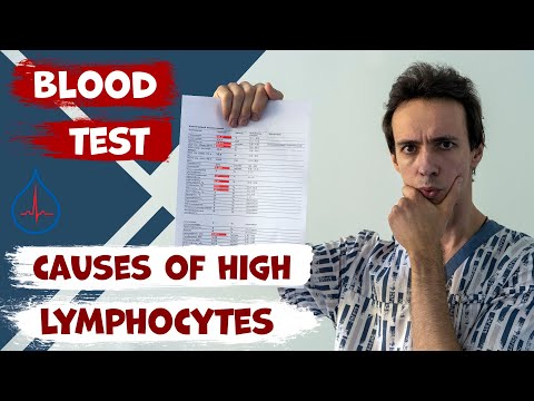Lymphocytes: What They Are and Why Counts Matter