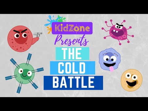 Understanding How Your Immune System Battles the Common Cold