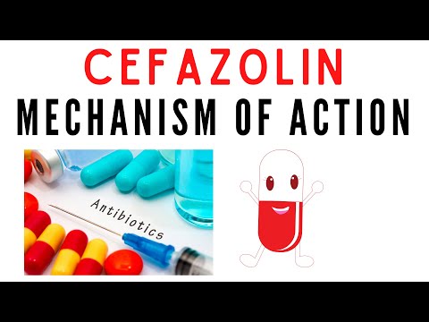 Understanding Cefazolin IV: Uses, Risks, and Interactions post thumbnail image