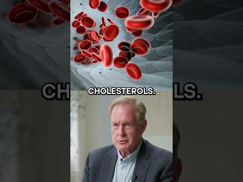Is High Cholesterol a Cause for Concern?