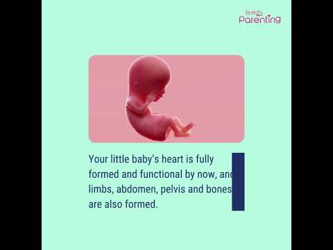 Your Journey at 10 Weeks Pregnant: Symptoms and Insights