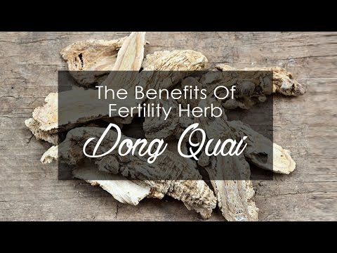Dong Quai: Benefits, Risks, and What You Should Know