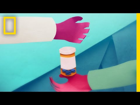 N.E.E. Oral: Benefits, Risks, Interactions, and Visuals