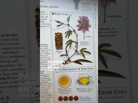 Drink Passionflower Tea Every Night for Better Sleep and Relaxation post thumbnail image