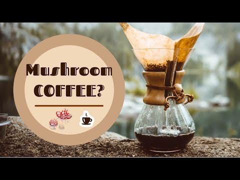 Mushroom Coffee: Exploring Its Potential Health Benefits