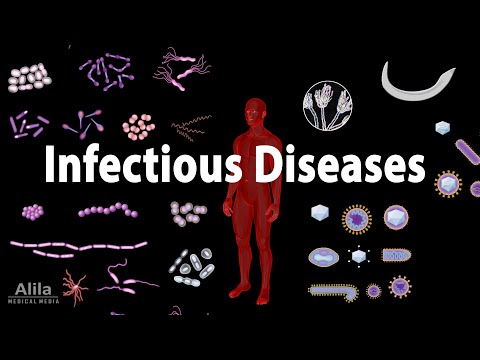 Understanding Pathogens: Types, Spread, and Health Impact