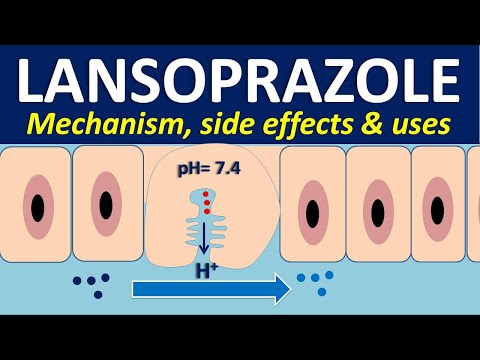 Understanding Lansoprazole: Uses, Side Effects, and Interactions