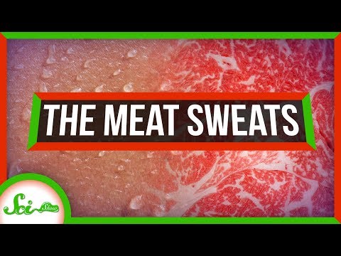 Why Do We Get Meat Sweats? Causes and How to Prevent Them