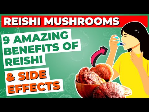 Reishi Mushroom: Benefits, Risks, and Interesting Facts post thumbnail image