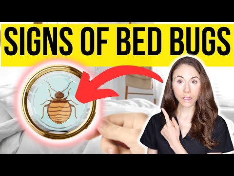 Bedbug Causes and How to Identify and Manage Them