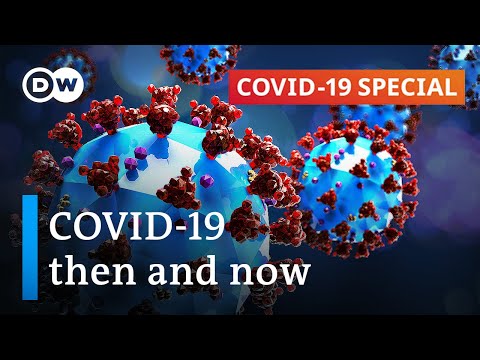 The Journey of Coronavirus: A Look Back in Time