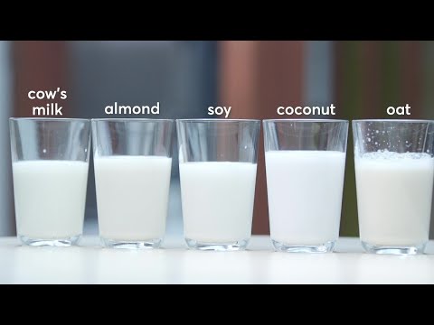 Are Milk and Substitutes Beneficial for Your Health?