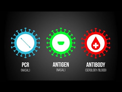 Understanding Antigens and Antibodies in COVID-19 Testing
