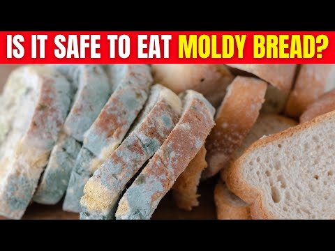 Is It Safe to Eat Moldy Bread? Health Risks You Should Know post thumbnail image