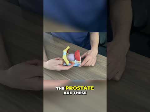 Understanding Radical Prostatectomy for Prostate Cancer Care