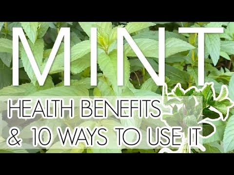 8 Health Benefits of Mint for Improved Wellness