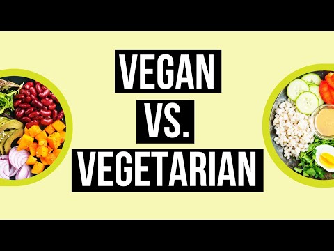 Vegan vs Vegetarian: Key Differences Explained