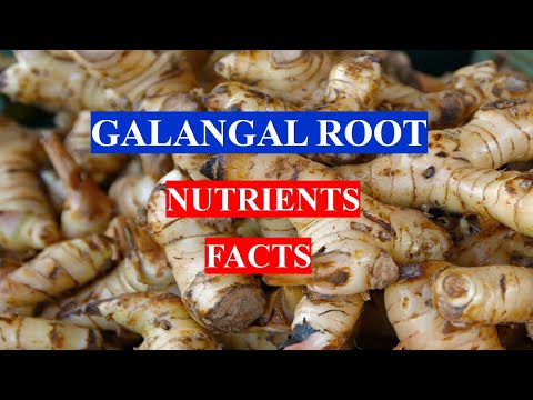 Galangal Root: Health Benefits, Uses, and Possible Risks