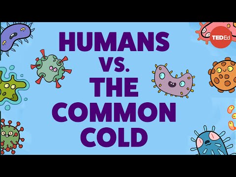 Understanding Treatments for Common Cold Symptoms