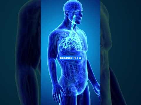 Understanding the Causes of Pain at the Back of Your Head