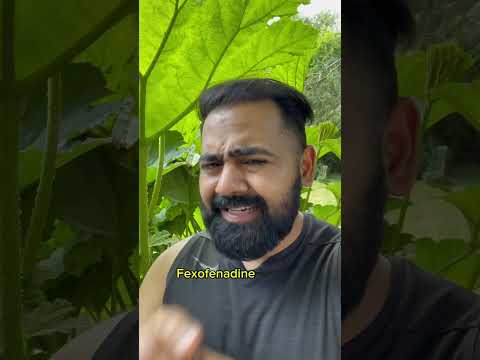 Understanding Hay Fever: Symptoms and Solutions for Allergies