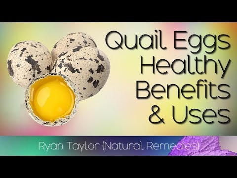 Quail Eggs: Nourishment, Perks, and Safety Insights post thumbnail image
