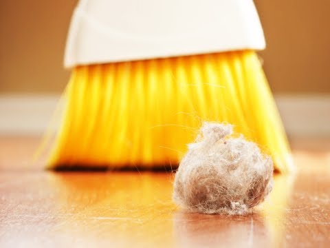 Understanding Indoor Allergies: What You Should Know