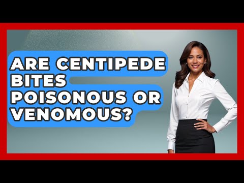 Centipede Bites: Recognizing Symptoms and Best Care Practices