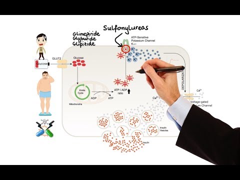 Understanding Common Diabetes Drugs for Better Management