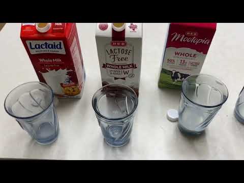 Lactose-Free Milk vs Regular: What’s the Real Difference? post thumbnail image