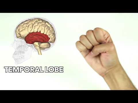 Understanding Your Brain: Anatomy, Health Tips, and Conditions post thumbnail image