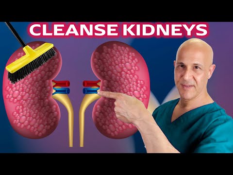 Essential Insights on Kidney Cleanses for Better Health