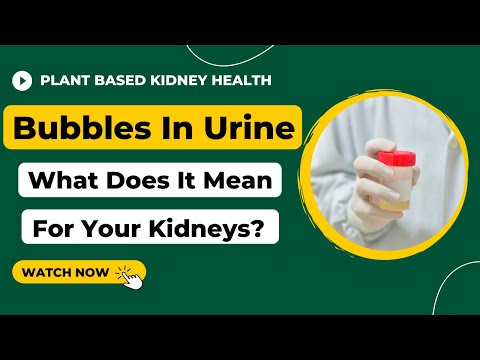 Understanding Pneumaturia: Causes, Symptoms, and Care post thumbnail image