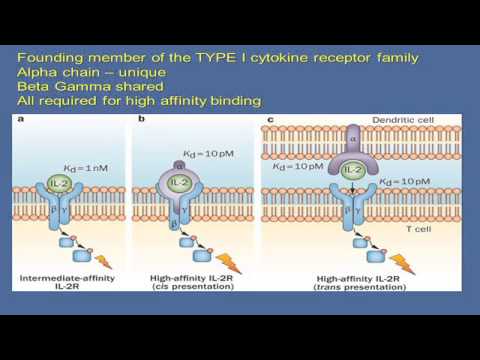Understanding Biologics for Treating Rheumatoid Arthritis