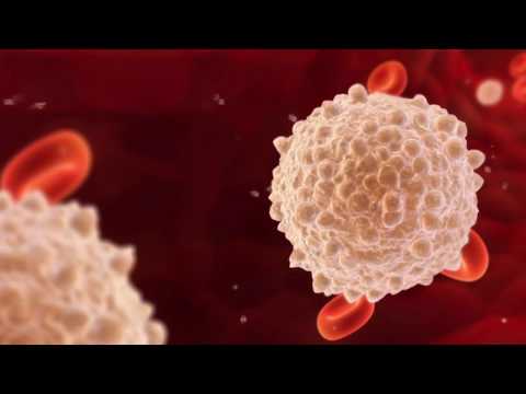 ¿Qué indica un alto nivel de monocitos en tu salud?