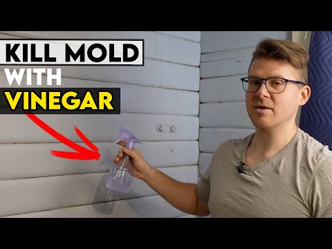Can Vinegar Eliminate Mold and Mildew Effectively?