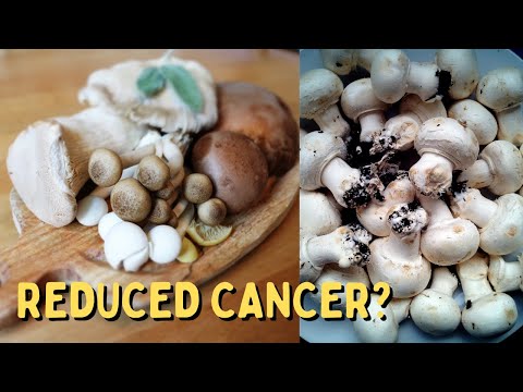 Can Eating More Mushrooms Reduce Your Cancer Risk?