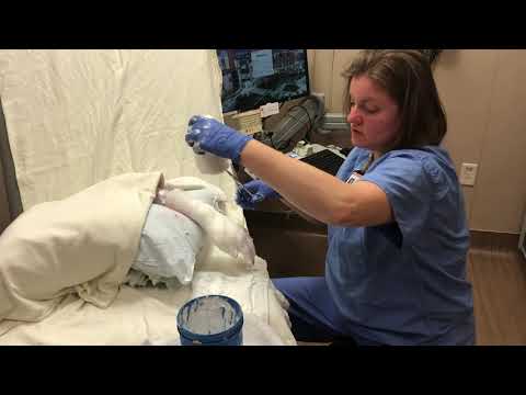 Silver Sulfadiazine Cream: A Skin Savior for Burns and Wounds