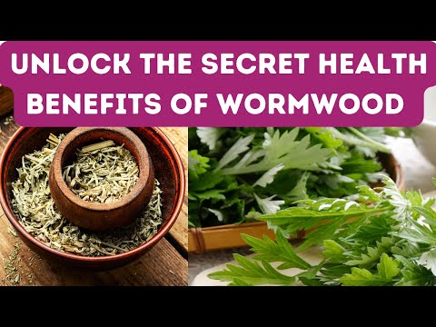 Wormwood: Benefits, Risks, and Surprising Facts