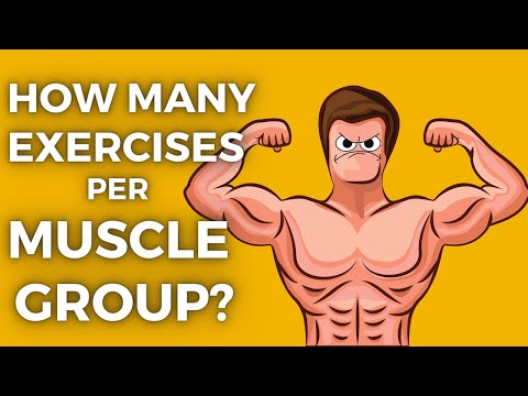 Optimal Exercises Per Muscle Group for Better Health Management