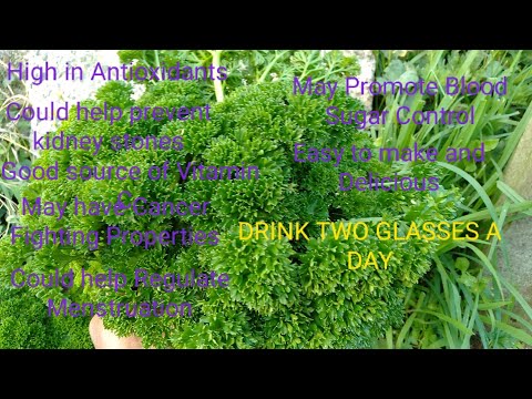 7 Surprising Health Benefits of Parsley Tea You Should Know
