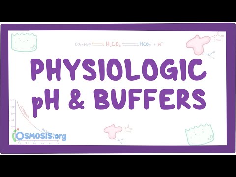 Understanding PH Balance: Its Role in Health and Wellness