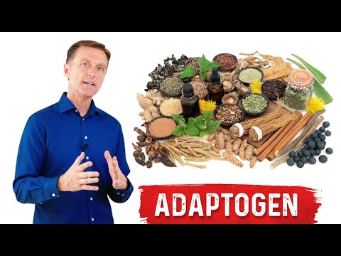 Understanding Adaptogenic Herbs: Health Benefits and Effectiveness