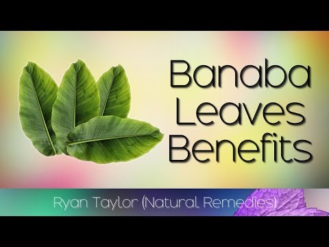 Understanding Banaba Leaves: Health Benefits and Risks Explained