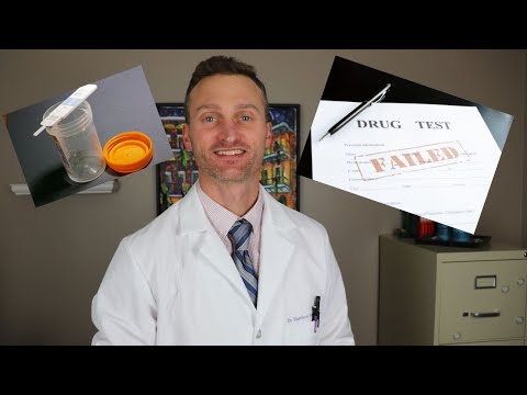 Understanding How Long MDMA Stays in Your System