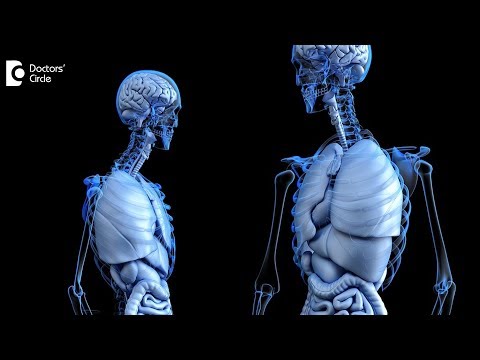 Is Life Possible Without a Liver?